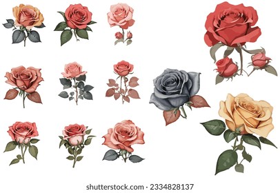 Die-cut photos on a white background of roses drawn from watercolors.