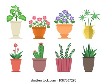 Flores de dieffenbachia en la colección de ollas, conjunto de plantas jarrones, cactus y flor, hojas y hierbas de la casa ilustraciones vectoriales aisladas en blanco