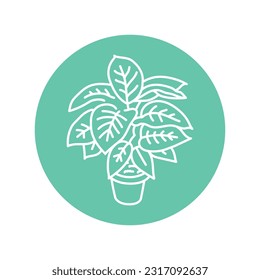 Dieffenbachia houseplant black line icon. Indoor decorative plant. Pictogram for web page, mobile app, promo.