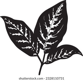 Dieffenbachia Leaf Black And White, Vector Template Set for Cutting and Printing
