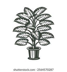Dieffenbachia in a pot isolated on a white background. Botanical element for interior design. Monochrome black and white illustration.