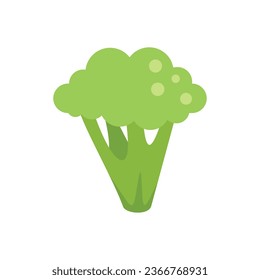 Vector plano del icono del brócoli dietético. Brocoli de col. Ensalada vegetal aislada