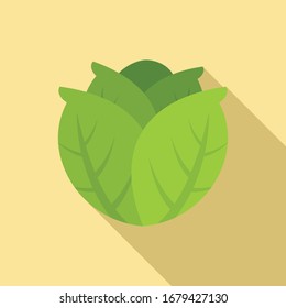 Diet cabbage icon. Flat illustration of diet cabbage vector icon for web design