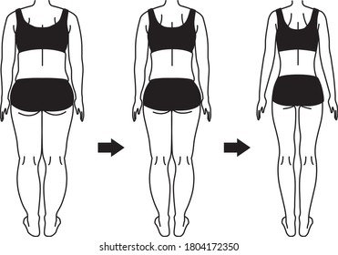 Diet developmental illustration, the whole body from the back. Monochrome line drawing