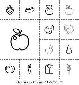 Diet icon. collection of 13 diet outline icons such as pear, apple, sack, hot dog, carrot on fork, floor scale, strawberry, turkey. editable diet icons for web and mobile.