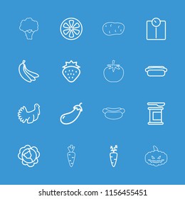 Diet icon. collection of 16 diet outline icons such as strawberry, cabbage, eggplant, protein powder, carrot on fork, floor scale. editable diet icons for web and mobile.