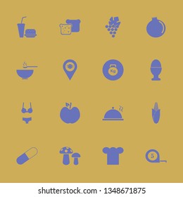 diet icon set with soup, grape and location restaurant vector illustration