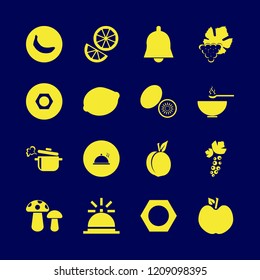 diet icon. diet vector icons set nut, bell, proper meal and black currant berry