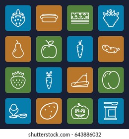 Diet icons set. set of 16 diet outline icons such as potato, carrot, pear, peach, cucumber, boiled egg, strawberry, raspberry, treadmill, pumpkin haloween, hot dog, apple
