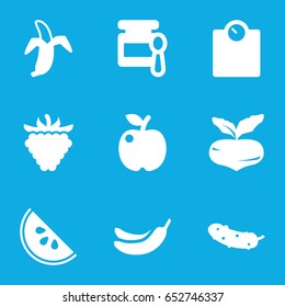 Diet icons set. set of 9 diet filled icons such as beet, baby food, banana, cucumber, raspberry, banana, watermelon, apple