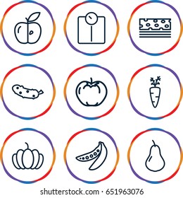Diet icons set. set of 9 diet outline icons such as pear, apple, cucumber, pumpkin, peas, carrot on fork, piece of cake