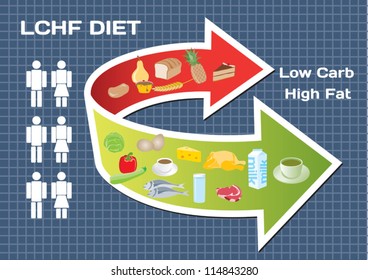 Diet Low Carb High Fat (LCHF) Infographic