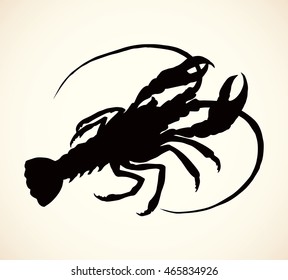 Diet meat of freshwater mudbug omar crab isolated on white background. Black ink hand drawn picture sketchy in retro style pen on paper.