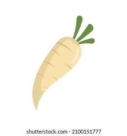 Diet parsnip icon. Flat illustration of diet parsnip vector icon isolated on white background