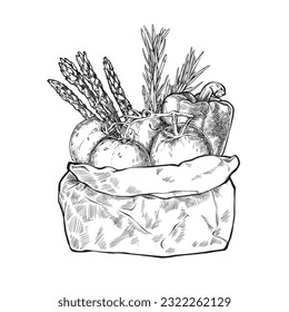 Diet shopping, fresh vegetables. Hand drawn template. Vintage engraved sketch. Organic products. Healthy food concept, paleo products, label, banner, packaging, delivery.