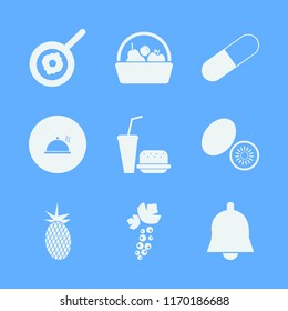 diet vector icons set. with fresh pineapple, bell, proper meal and black currant berry in set