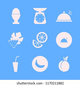 diet vector icons set. with kitchen scale, proper meal, banana and orange in set