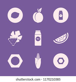 diet vector icons set. with watermelon slice, peach, grape and lemon in set