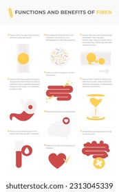Dietary fiber infographic vector: metabolism functions and benefits.
Icon and graphics of medical elements and organs like intestine, stomach, heart, constipation, diverticulitis, bacterias, probiotic