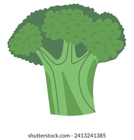 Dietary food product. Organic natural vegetables without pesticides. Useful for health, contains large amounts vitamins, antioxidants. Fresh juicy broccoli for family nourishment. Vector in flat style