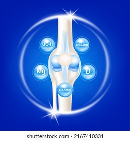 Dietary supplement bones. Arthritis knee joint pain in leg. Bone with Collagen UC-II, Vitamin D, Magnesium, Sesamin and Aquamin. Medical healthcare skeleton x ray scan concept. Vector EPS10.