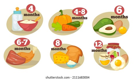 Dieting recommendation for newborn children and toddlers, menu for babies. Milk and porridge or puree till four months. Adding vegetables and meat in ration, cheese and bread, vector in flat style