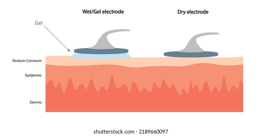 Diference from Wet and Gel electrode and a Dry electrode for monitoring. EEG and ECG monitoring electrodes