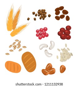 Diferent seed set. Wheat, buckwheat, rice, nuts, berries, bread, beans, coffee. Simple flat vector illustration on white background