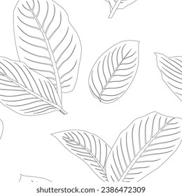 Diffenbachia leaves pattern line art for decorate your designs with tropical illustration isolated on white background