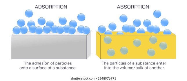 Difference between absorption and adsorption vector. Bio differences, adhesion of atoms, ions or molecules from gas, liquid or dissolved solid to a surface or enter some bulk phase element forms. 