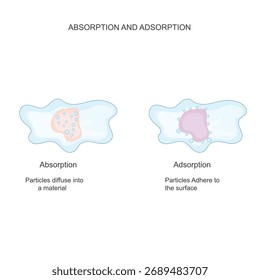 difference between adsorption and absorption on molecular surface. Surface phenomena. Chemical Adsorption and Physical Adsorption. In absorption particles enter bulk phase.