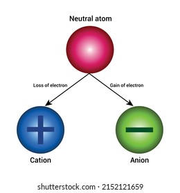 diferencia entre aniones, cationes e ilustración vectorial neutra de átomo aislada en fondo blanco.