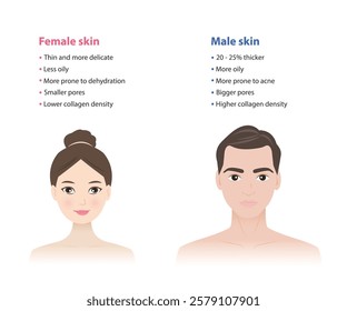 The difference between female and male skin vector illustration isolated on white background. Men's and women's skin differ in several ways, thickness, oiliness, pores, collagen content, hair growth.