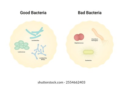 Difference between Good Bacteria and Bad Bacteria