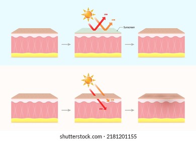 Difference Between Sunscreen Nonsunscreen Skin Protects Stock Vector ...