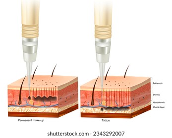 Difference between tattoo and permanent make-up process. Pigment under layers skin of Epidermis,  Dermis and Gipodermis. 