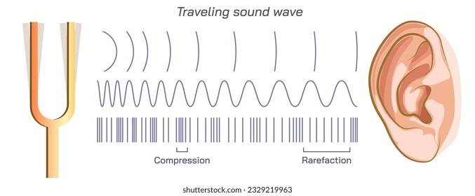 Diferencia entre dos orejas, doble audición, densidad o presión de sonido, frecuencia diferente, compresión, rarefacción y presión ambiental. ola de sonido viajante, Dysharmonica y echoica. sonar