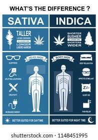 The Difference Of Leaf Cannabis Sativa And Indica