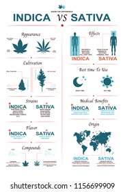 The difference of leaf cannabis sativa and indica