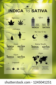 The Difference Of Leaf Cannabis Sativa And Indica