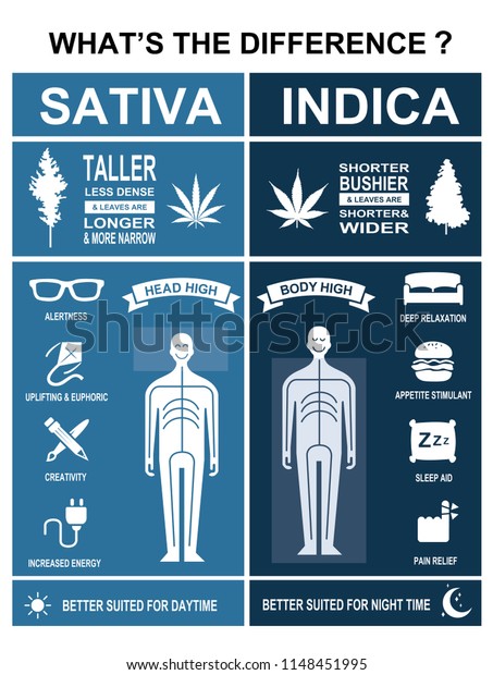 Der Unterschied Zwischen Cannabis Sativa Und Indica