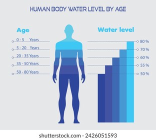 Porcentaje de diferencia, Nivel de agua del cuerpo humano, anatomía.Balance corporal de agua por edad, vector, infografía, balance de fluidos en persona adulta, Silueta masculina aislada plana, ilustración, nutrición H2O, autocuidado