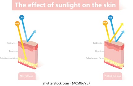 The difference of radiation 2 types in sunlight which is harmful to the skin.Illustration about UVA penetrate deep than UVB.And protect the skin from the sun.