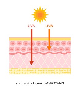 La diferencia de la radiación 2 tipos en la luz solar que es perjudicial para la piel. Los rayos UVA penetran más profundamente que los UVB.