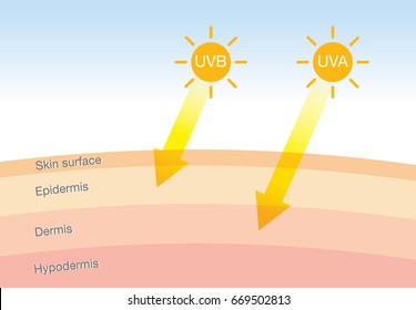 The difference of radiation 2 types in sunlight which is harmful to the skin.Illustration about UVA penetrate deep than UVB.