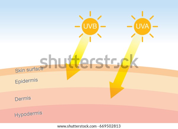 Difference Radiation 2 Types Sunlight Which Stock Vector (Royalty Free ...