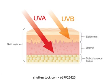 The difference of radiation types in sunlight which is harmful to the skin.Illustration about UVA penetrate deep than UVB.