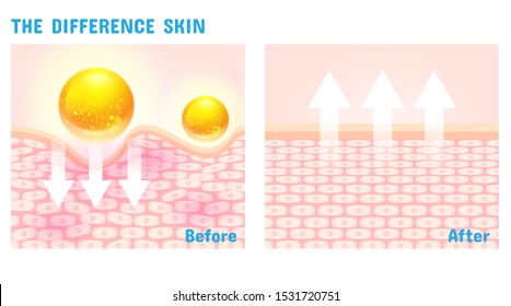 The difference skin structure before and after with vitamin or serum vector