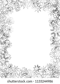 Different abstract flower designs assembled into decorative frame design, outlined in black and white