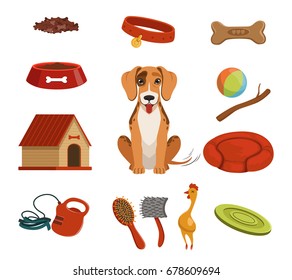 Different accessories for domestic pet. Dog in house. Vector illustrations set